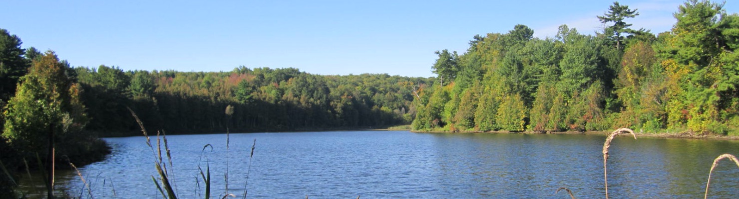 LAKE SIMCOE CONSERVATION FOUNDATION