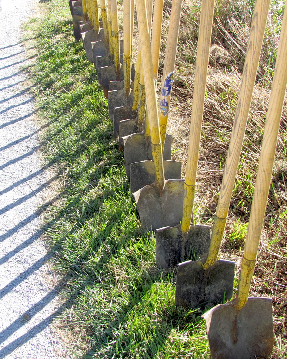 Shovels in the ground in a row.