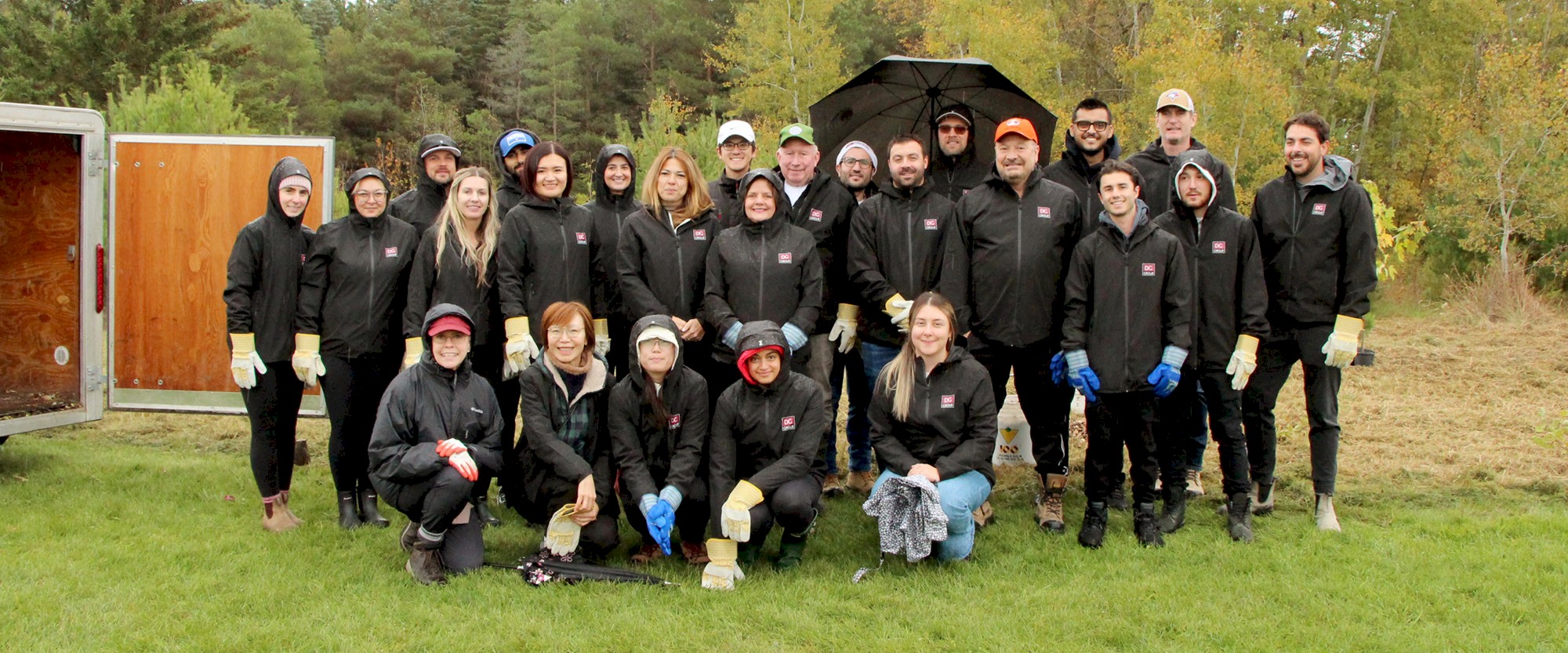 DG Group team volunteering planting trees at Mount Albert.