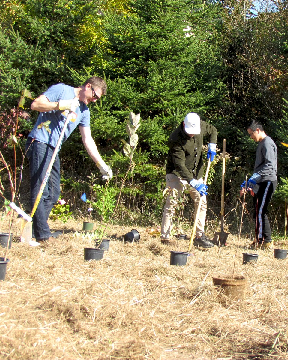 DG Group staff planting trees at Aurora Community Arboretum.