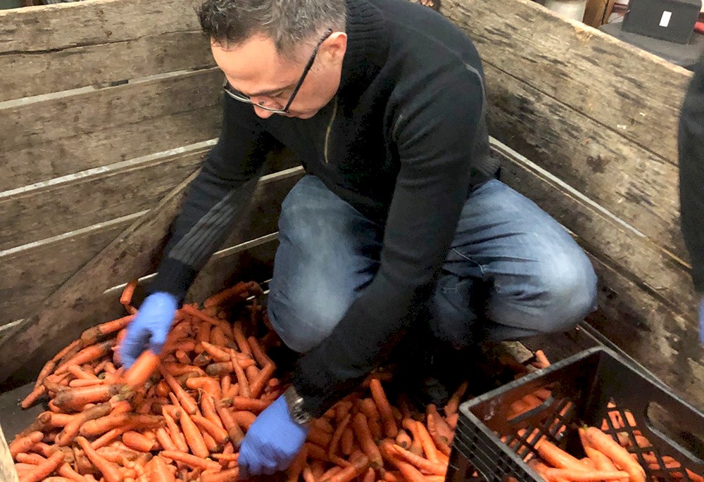 DG Group staff member collecting carrots for Second Harvest.